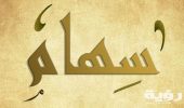 تفسير رؤية اسم سهام في المنام 5 تفسير رؤية اسم سهام في المنام