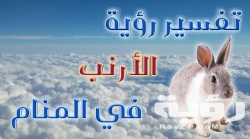 تفسير رؤية الارنب في المنام