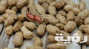 تفسير رؤية السوداني في المنام