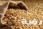 تفسير رؤية شرب الشعير في المنام