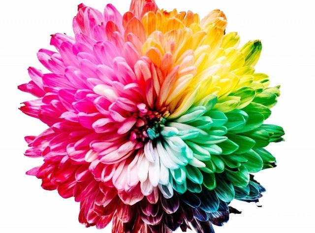 The Science of Colors in Marketing