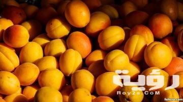 تفسير رؤية تجفيف المشمش في المنام
