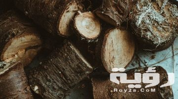 تفسير رؤية الخشب في المنام
