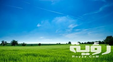 تفسير رؤية الحديقة في المنام