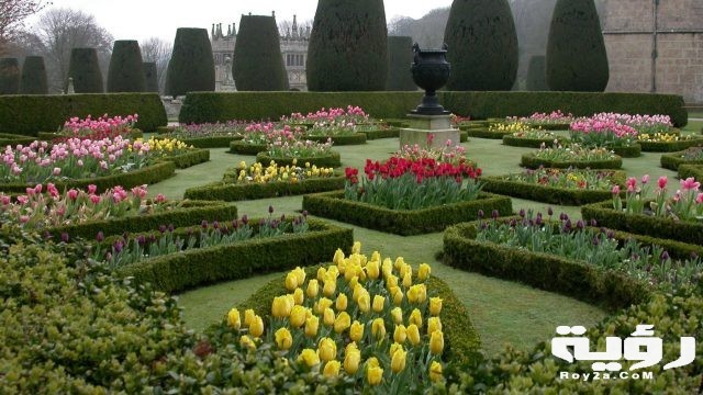 tulips parterre 2012 2t