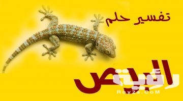 تفسير رؤية برص يهرب في المنام