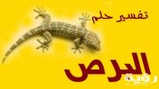 تفسير رؤية برص يهرب في المنام 1 1 162 scaled
