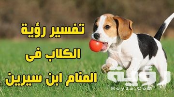 تفسير رؤية عضة الكلب في المنام