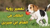 تفسير رؤية عضة الكلب في المنام 5 تفسير رؤية عضة الكلب في المنام