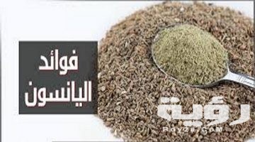 تفسير رؤية اليانسون في المنام