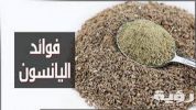 تفسير رؤية اليانسون في المنام 5 تفسير رؤية اليانسون في المنام