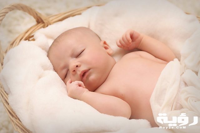 newborn baby feet basket 161709