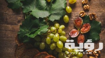 تفسير رؤية ورق العنب في المنام