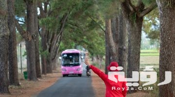تفسير رؤية ركوب الاتوبيس في المنام