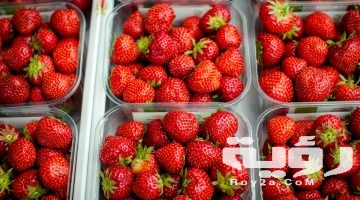 تفسير رؤية الفراولة في المنام