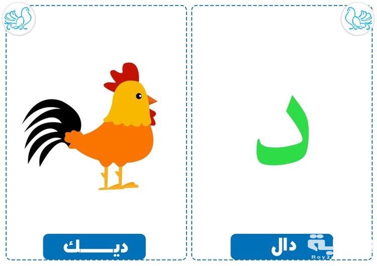 اسم حيوان بحرف د الدال