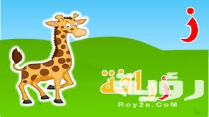 اسم حيوان بحرف ز الزين