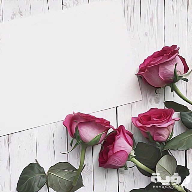 صور خلفيات بسيطة للكتابة عليها