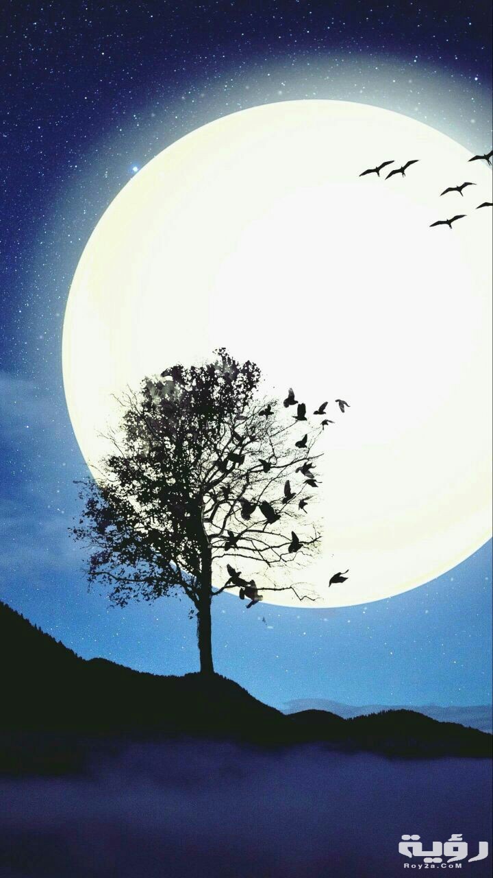 1535 2