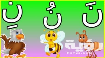 اسم حيوان بحرف ن النون