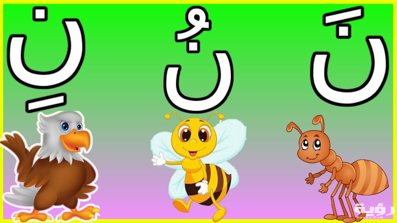 اسم حيوان بحرف ن النون 5 اسم حيوان بحرف ن النون