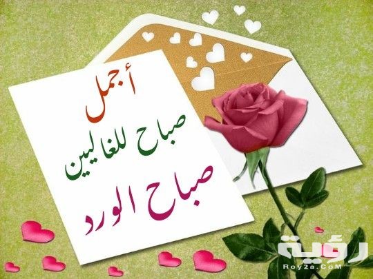 صور صباح الخير للغاليين حب ورومانسية 2021