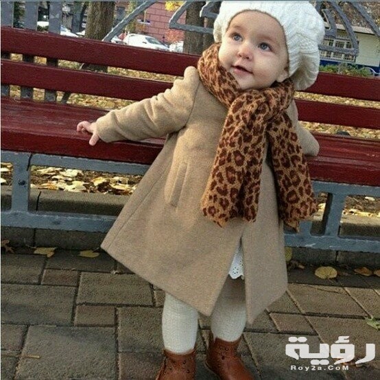 1bddcfc5ef14525cf1be392cf4931bad