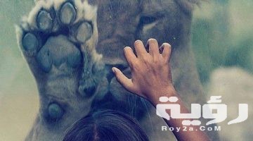 صور خلفيات عميقة 2026 ستوى للواتس اب عميقة