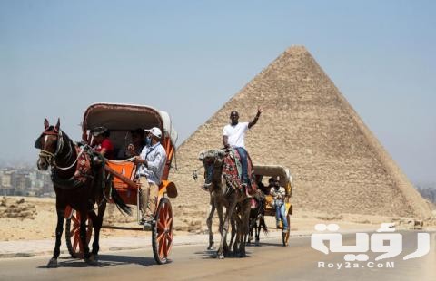 صور الأهرامات 2021