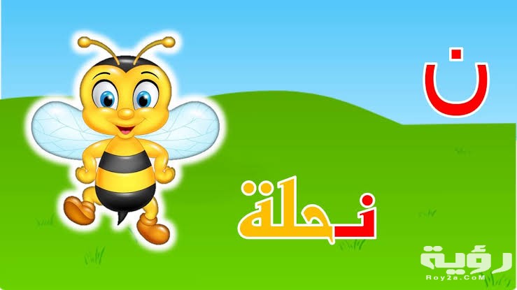 اسم حيوان بحرف ن النون
