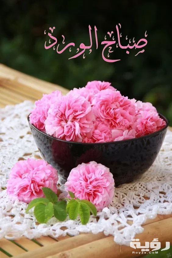 25c39d0e8b26f0682addfc492df28340