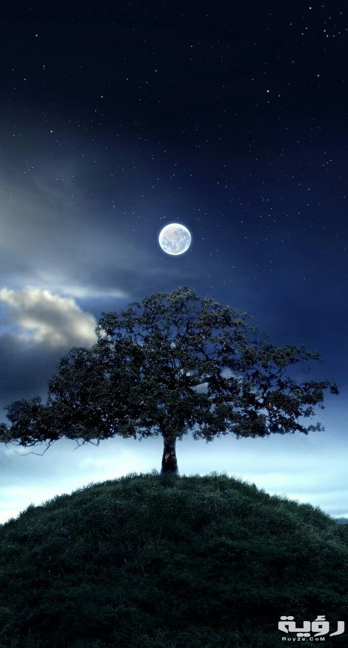 صور خلفيات هادئة للهاتف 2021