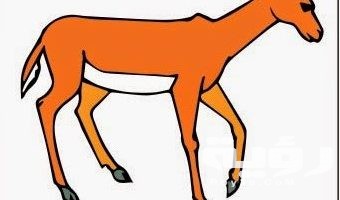 اسم حيوان بحرف ظ الطاء