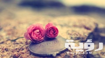 صور خلفيات هادئة وجميلة 2026