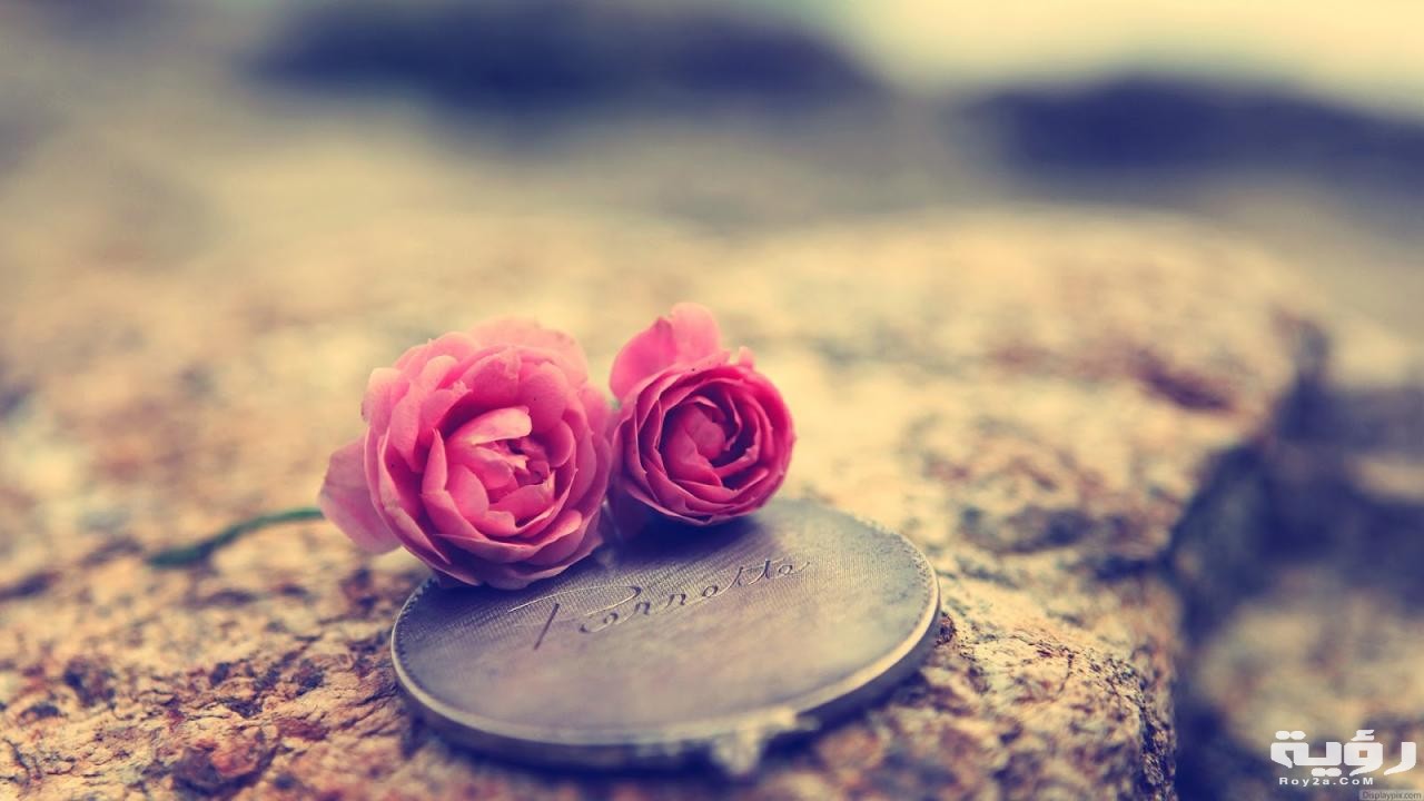 صور خلفيات هادئة وجميلة 2026 5 صور خلفيات هادئة وجميلة 2026