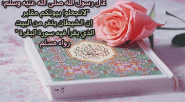 صور خلفيات عن القران 2026 خلفيات واتس اب قرآن