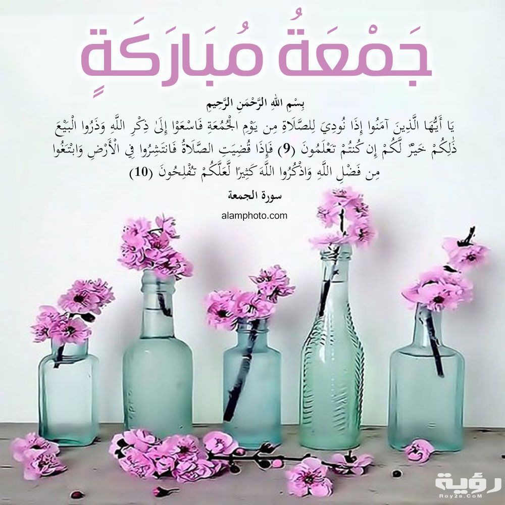 3b48e586275fcda55194612ef96b465c