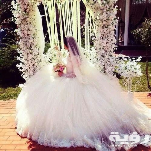 صور خلفيات عرايس 2021