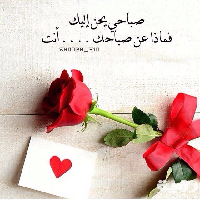 41f1e96a8900eaf80edcbce9b12c2eef