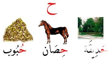 اسم حيوان بحرف ح الحاء