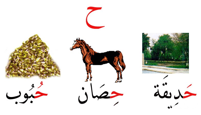 اسم حيوان بحرف ح الحاء 5 اسم حيوان بحرف ح الحاء