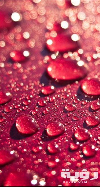 صور خلفيات هادئة وجميلة