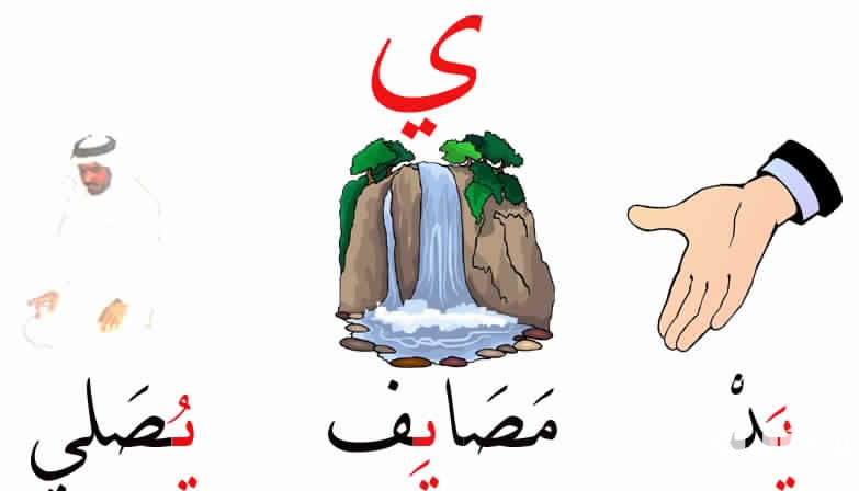 اسم حيوان بحرف ي الياء