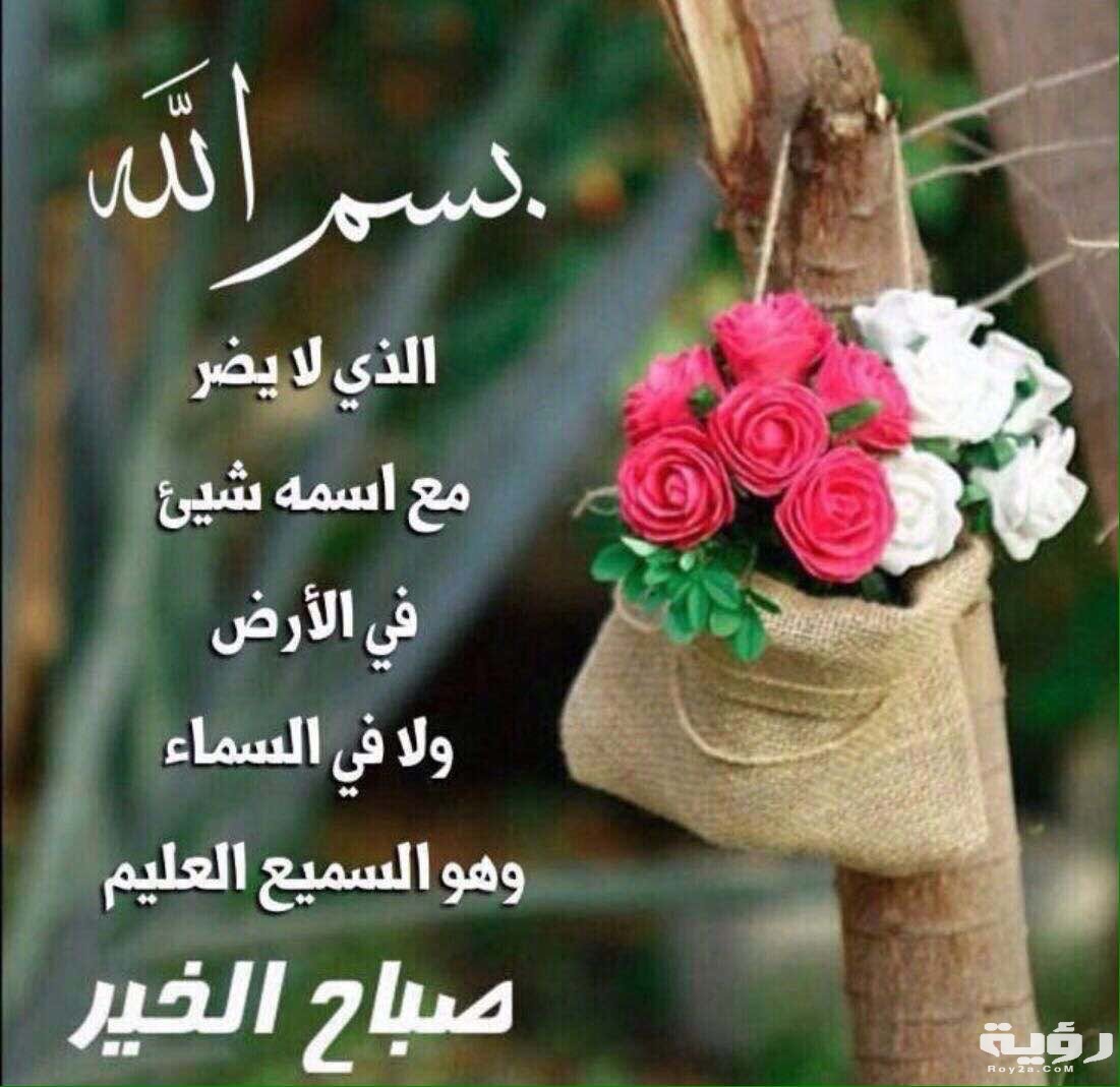 صورة