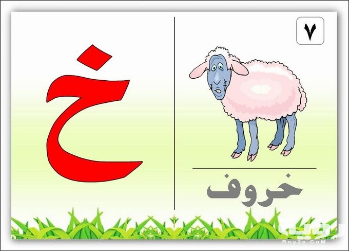 اسم حيوان بحرف خ الخاء