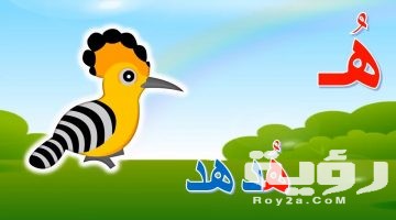اسم حيوان بحرف ه‍ الراء