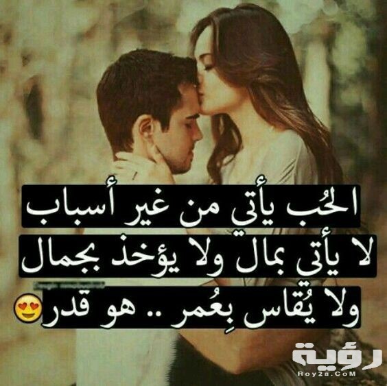 9c7a8334ee3cbe278db6d957039c0021