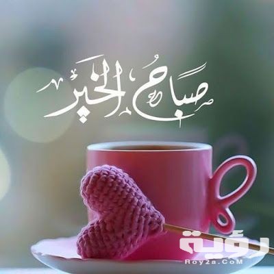 9ef48c367f3e2085912fd9f874c11b0c