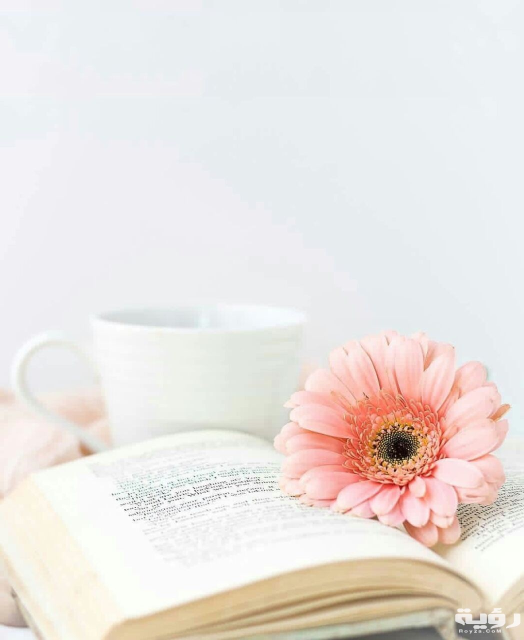 صور تصميمات للكتابة عليها مختلفة