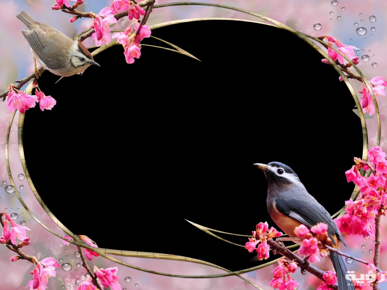 صور تصميمات للكتابة عليها مختلفة